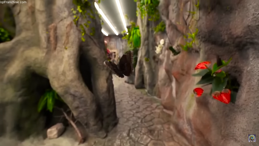 Butterfly House