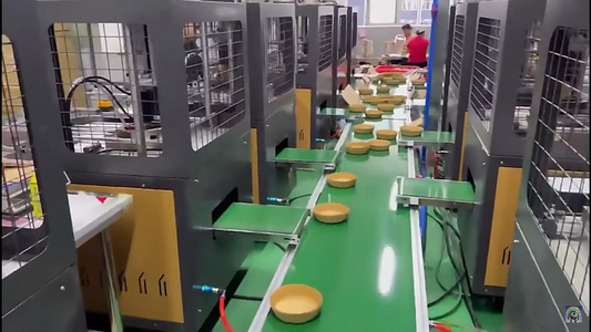 Disposable Paper Tableware Production