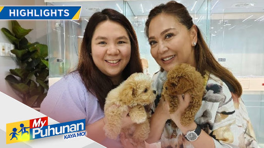 MINIPET Philippines